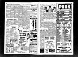 Castlegar News 1981-11-04, page 2