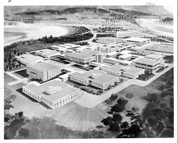 Model of Selkirk College