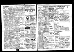  Rossland Evening Record 1897-07-10   , page 2