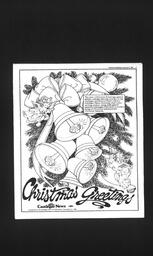 Castlegar News 1986-12-24, page 10