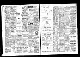   Rossland Evening Record 1898-05-30   , page 2