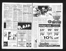   Castlegar Sun 1993-02-17   , page 3