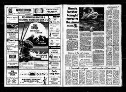 Castlegar News 1981-11-12, page 9