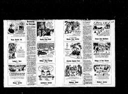 Castlegar News 1973-12-20, page 17