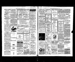   Rossland Evening Record 1899-07-03   , page 2