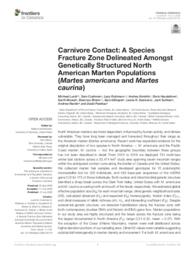 Carnivore Contact: A Species Fracture Zone Delineated Amongst Genetically Structured North American Marten Populations (Martes americana and Martes caurina)