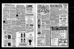 Castlegar News 1966-07-28, page 3