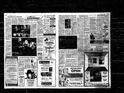 Castlegar News 1981-03-15, page 3
