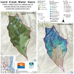 Liard Creek - Forest Characteristics
