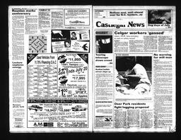 Castlegar News 1991-07-13, page 1