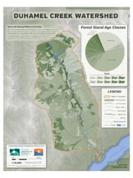 Duhamel Creek (Duhamel Watershed Society) - Forest Age Class Map