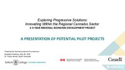 Exploring Progressive Solutions: Innovating Within the Regional Cannabis Sector Potential Pilots Presentation