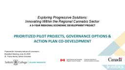 Exploring Progressive Solutions: Innovating Within the Regional Cannabis Sector - Prioritized Pilot Projects, Governance Options & Action Plan Co-Development