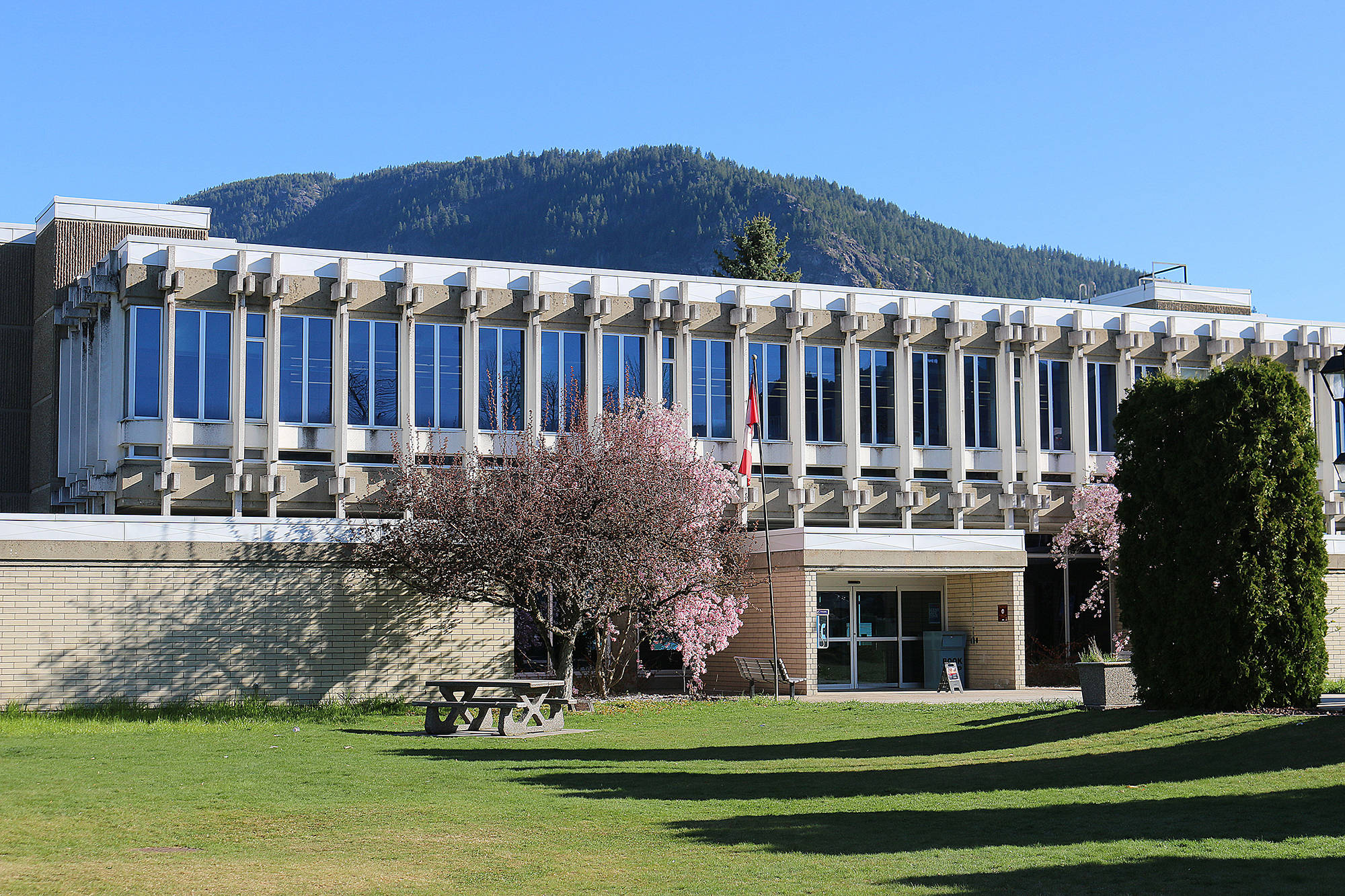 Main campus building with pink flowering trees and a green lawn under a bright blue sky